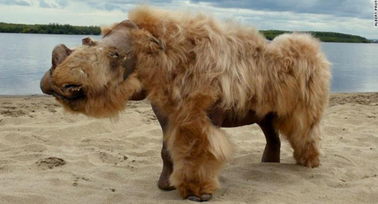 Rinoceronte lanudo encontrado con 20.000 de preservación en Siberia