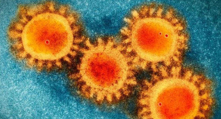 Nueva cepa de coronavirus