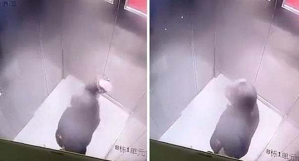 Foto, anciana lanza flemas dentro de un ascensor en China en medio de un nuevo brote de covid-19