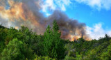 Incendio forestal en el Bolsón