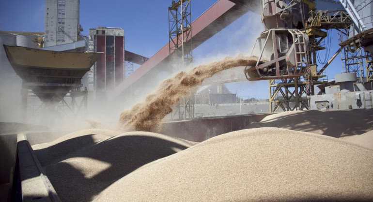 Exportación de harina de soja
