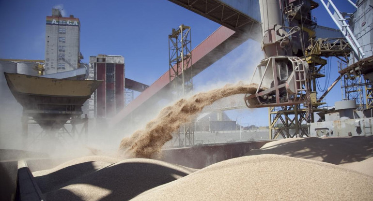 Exportación de harina de soja