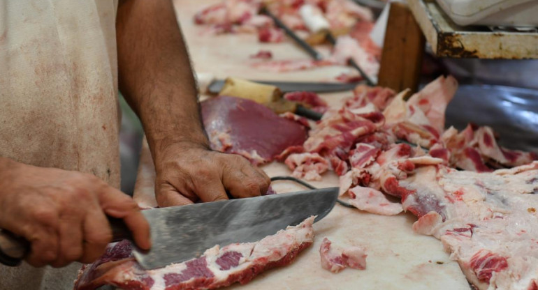 Cortes de carne, economía argentina, NA
