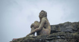 Estatua en Mar del Plata, misterio por aparición