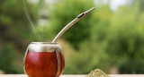 Yerba Mate, mate