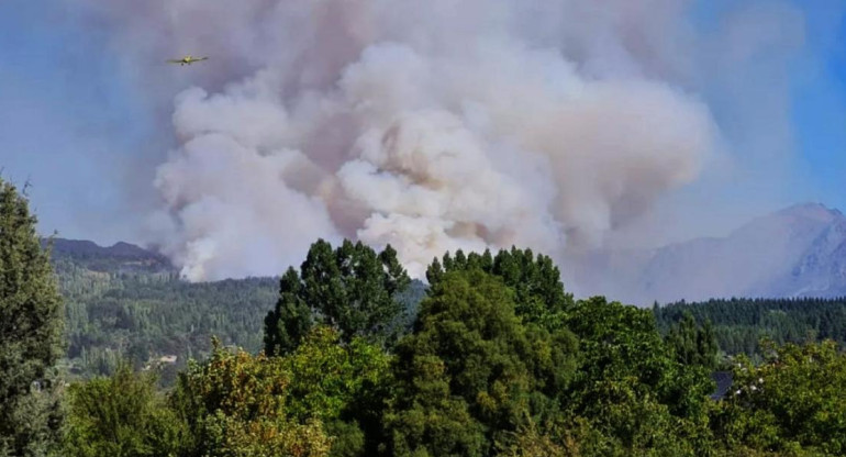 Incendios en la Patagonia, Parque Los Alerces
