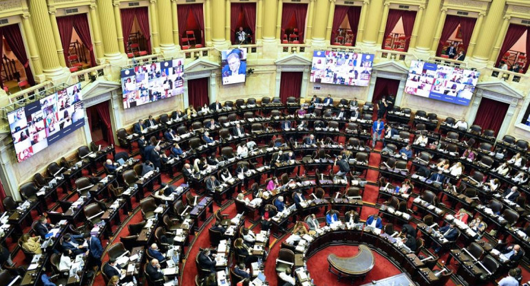 Diputados sesipon especial por Ganancias, NA.