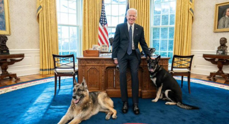 Joe Biden junto a sus perros