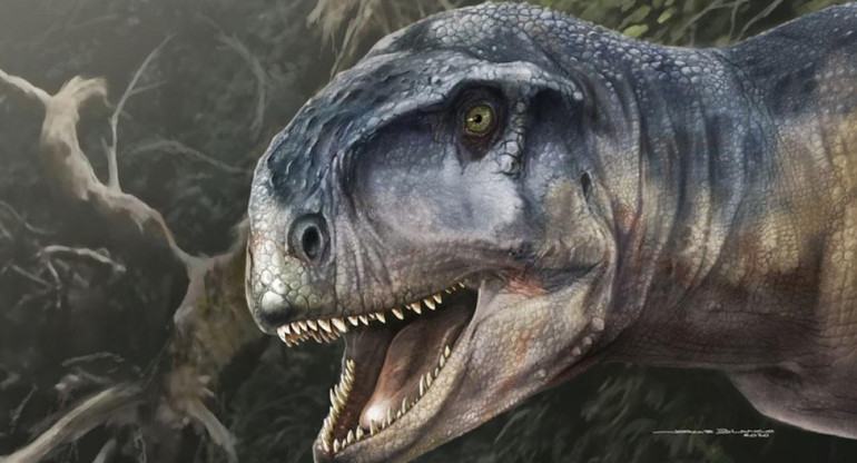 "Llukalkan aliocranianus", especie de dinosaurio encontrada en Neuquén, Foto: @CONICETDialoga
