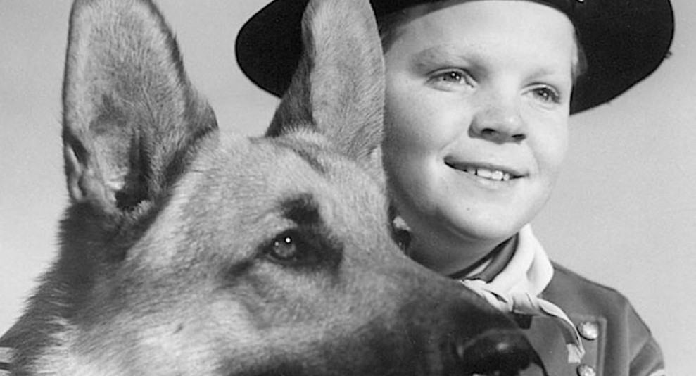 Murió en plena indigencia la estrella infantil que protagonizó "Rin Tin Tin"