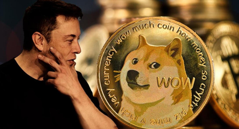 Elon Musk y los Dogecoins, Economía. 