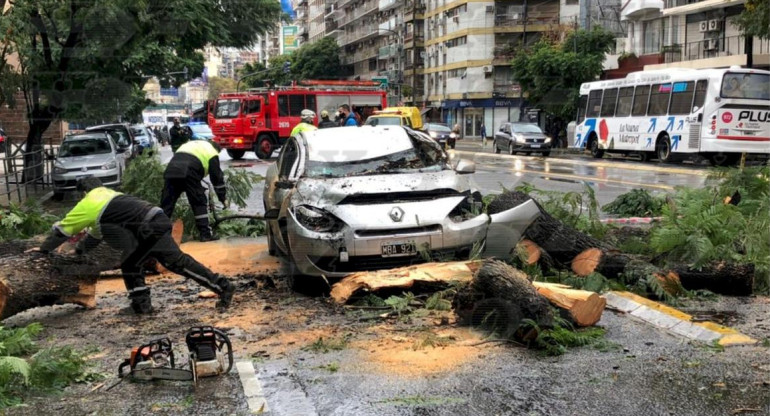 Árbol cayó sobre un auto en movimiento en Palermo