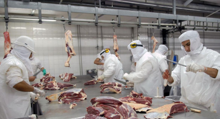 Cepo a la carne, exportaciones, NA
