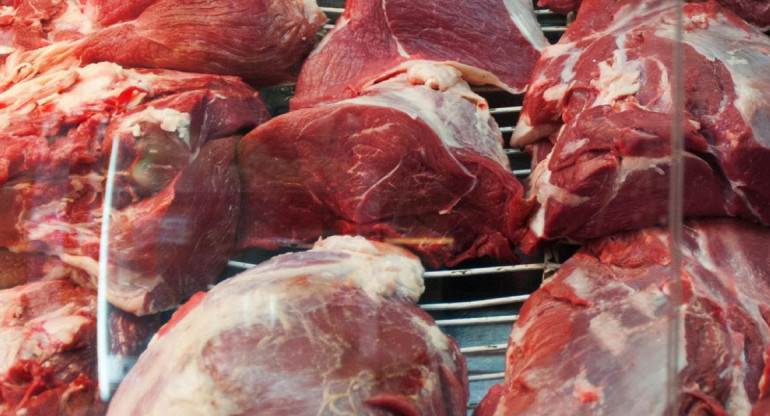 Carne, frigorífico, carne argentina, NA