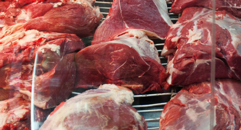 Carne, frigorífico, carne argentina, NA
