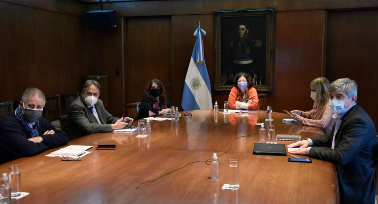 Carla Vizzotti en el Consejo Federal de Salud