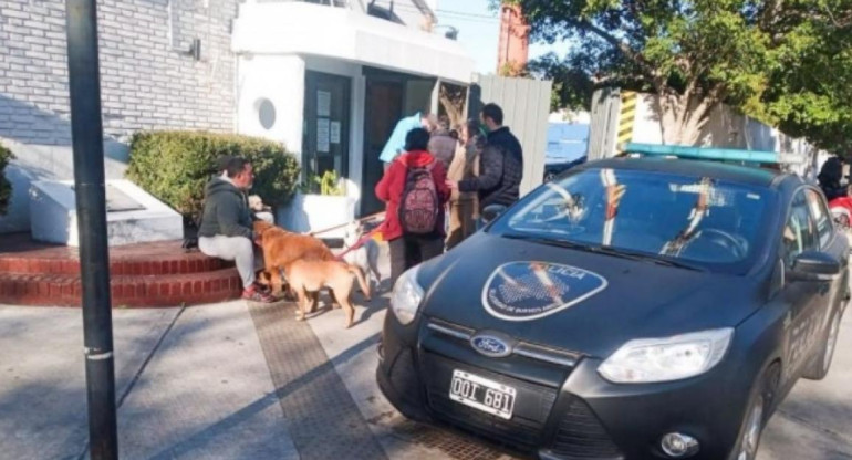 	Tragedia en Belgrano: un automovilista atropelló a un paseador y mató a cuatro perros