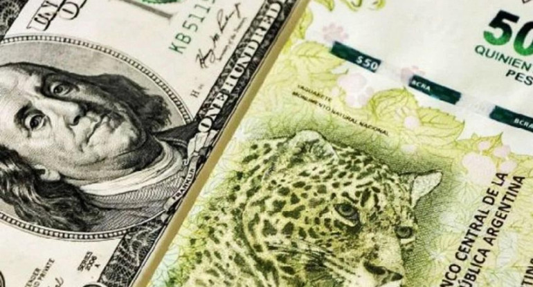 Bonos del tesoro, dólares estadounidenses, pesos argentinos