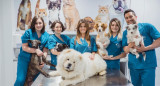 Veterinarios