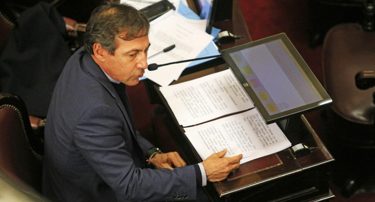 Luis Naidenoff, senador nacional. Foto NA.
