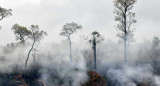 Incendios forestales en Bolivia, NA