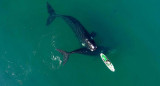 Ballenas en Puerto Madryn, foto Maxi Jonas