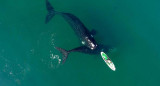 Ballenas en Puerto Madryn, foto Maxi Jonas