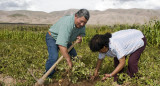 Agricultura