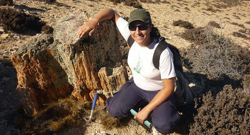 Identificación de plantas y hongos en Santa Cruz de épocas jurásicas