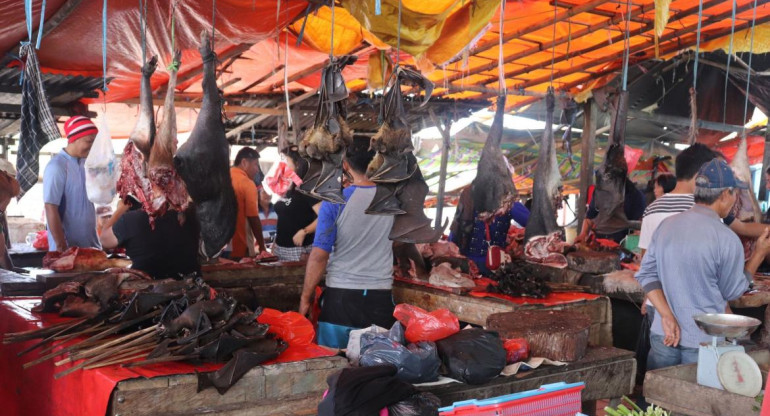 Mercados asiáticos de animales