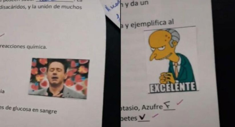 Corrección de exámenes con memes de una docente entrerriana
