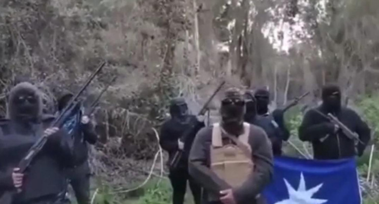 Comuneros mapuches exhibieron sus armas en un video	
