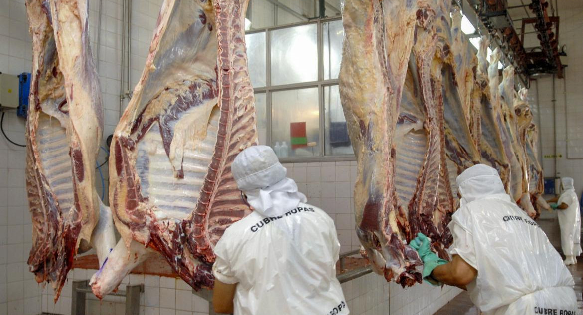 Exportación de carne, economía argentina, NA