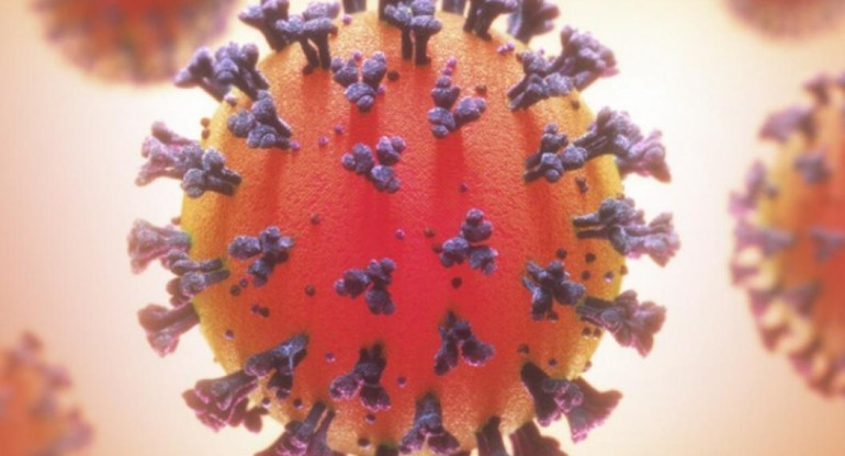 Coronavirus, pandemia