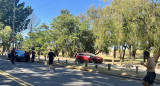 Locura al volante, Bosques de Palermo