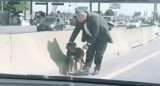 Perrito rescatado en autopista, captura video