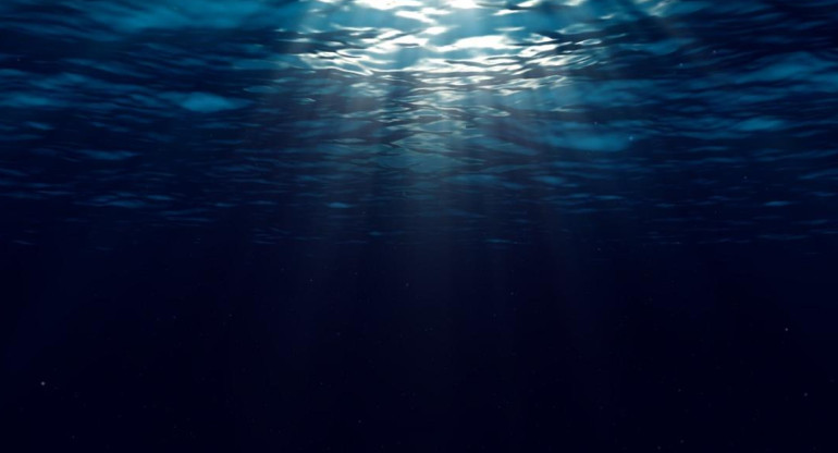 Científicos descubren un microbio marino que produce oxígeno en la oscuridad	