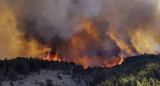 Estado de emergencia agropecuaria en Misiones, Córdoba y Mendoza