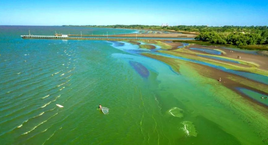 Alerta amarillo por la presencia de cianobacterias 