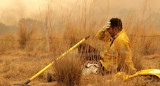 Incendios forestales en Corrientes