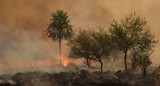 Continúa el combate de los incendios en Corrientes 23-2-22