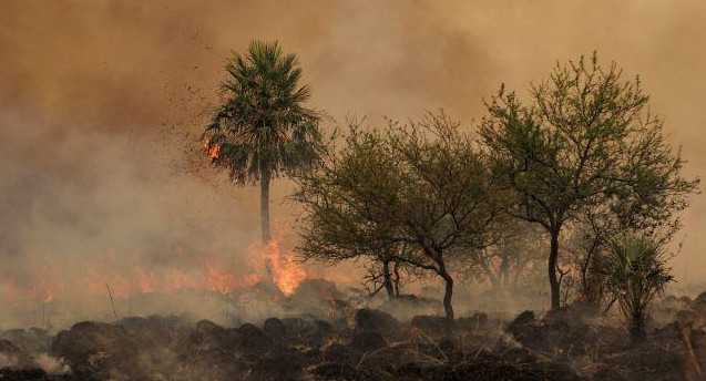 Continúa el combate de los incendios en Corrientes 23-2-22