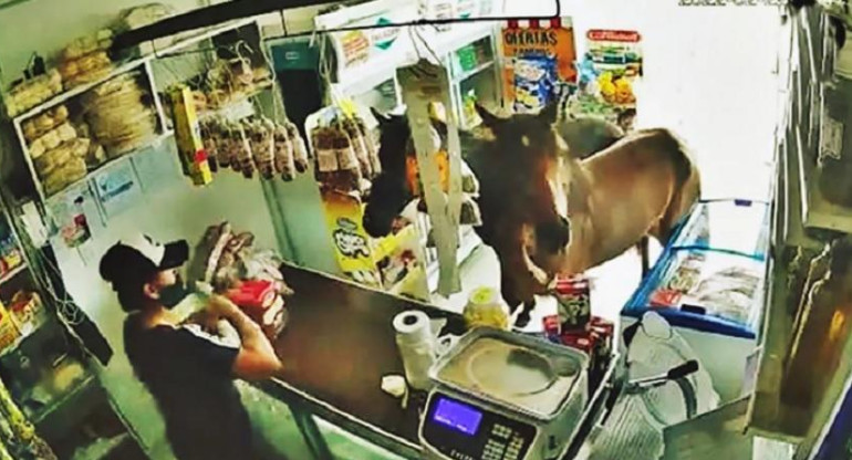 Dos caballos entraron a un kiosco en Córdoba y se comieron todo