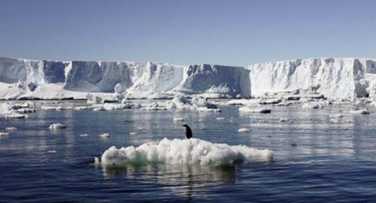 Crisis ambiental: el hielo marino antártico alcanza la extensión más baja de su historia	