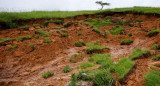 Inundaciones en Sudáfrica, Reuters