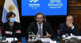 Santiago Cafiero, en el Senado. Foto: NA.