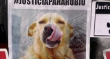 Rubio, perro asesinado en Mar del Tuyú.