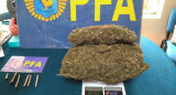 Marihuana hallada en un colegio de La Plata. Foto: NA.