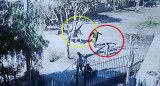 Dos mujeres fueron atropelladas por un caballo