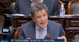 Facundo Manes, sesión Diputados. Foto: captura video.